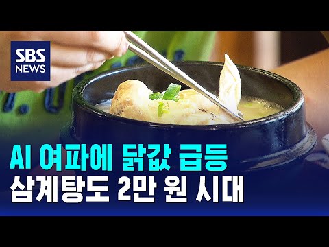 AI 여파에 닭값 급등..삼계탕도 2만 원 시대 / SBS thumbnail