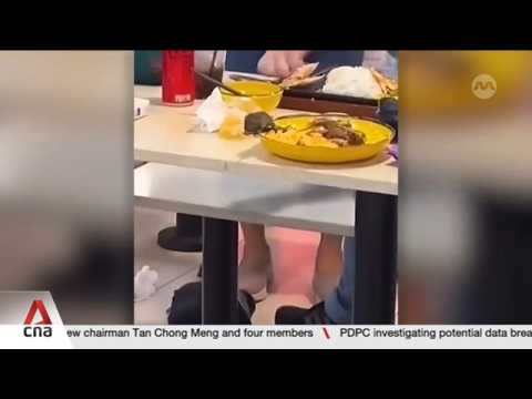 Rat infestations: More than 230 cases of lapses at F&B outlets in Singapore in 2025 thumbnail