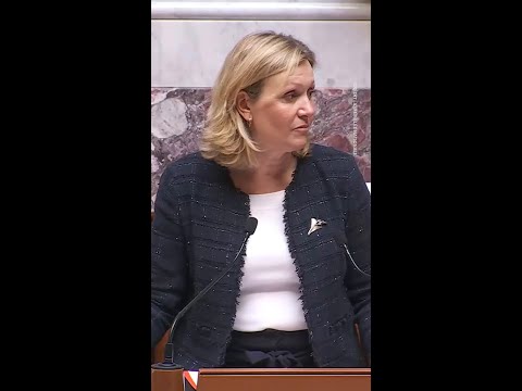 Loi de programmation militaire 2024-2030 : les députés votent 36 milliards d’euros supplémentaires thumbnail