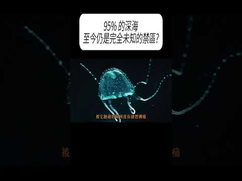 95% 的深海，至今仍是完全未知的禁區?#科普 #漲知識 thumbnail