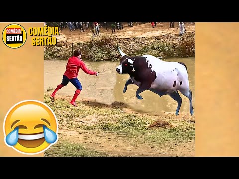 5 Minutos para Rir! 😂 Vídeos Engraçados 2024 #07 thumbnail