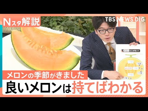 おいしいメロンの見分け方、ツルに近い上部と、下部のおしりではどちらが甘い？【Nスタ解説】｜TBS NEWS DIG thumbnail