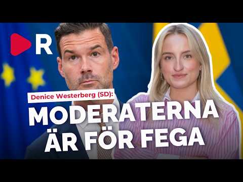 Denice Westerberg (SD) invandringsilska mot regeringen: Fega! thumbnail