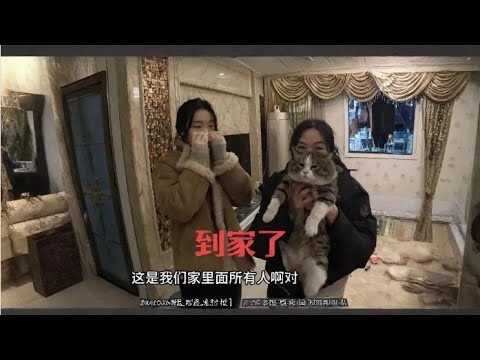 自驾货车4000公里，带着雪地跑来的流浪猫平安到家了 thumbnail