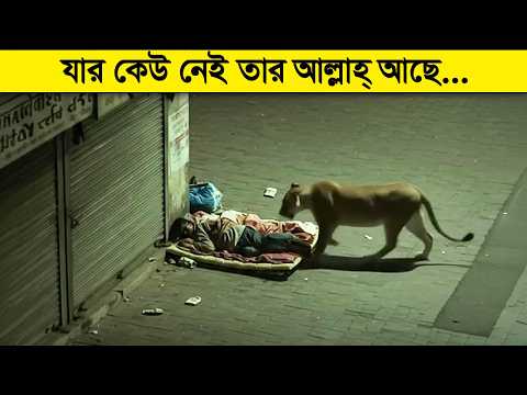 এমন জিনিস সচরাচর চোখে পড়ে না ! রেকর্ড না হলে কেউ বিশ্বাস করতো না ! thumbnail