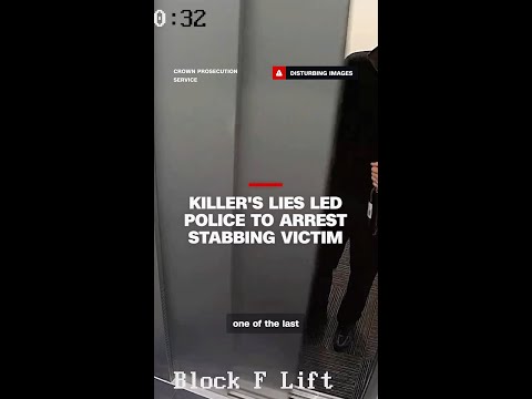 Killer's lies led police to arrest stabbing victim thumbnail