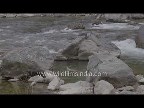Winding roads and forested hills of Arunachal Pradesh thumbnail