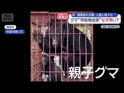 街のド真ん中にクマ“市街地出没”なぜ早い？【スーパーJチャンネル】(2026年5月14日) thumbnail