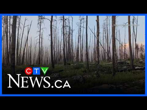 Fire report for Nopiming Provincial Park released thumbnail