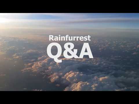 Rainfurrest Q&A thumbnail
