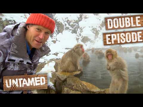 Monkeys Visit Hot Springs Daily!  | Double Episode | Travels With Bondi Vet thumbnail