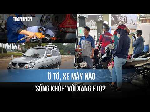 Nhiều hãng xe lên tiếng: Ô tô, xe máy nào "sống khỏe" với xăng E10? thumbnail