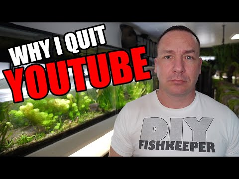 THE END of the aquarium gallery and the King of DIY thumbnail