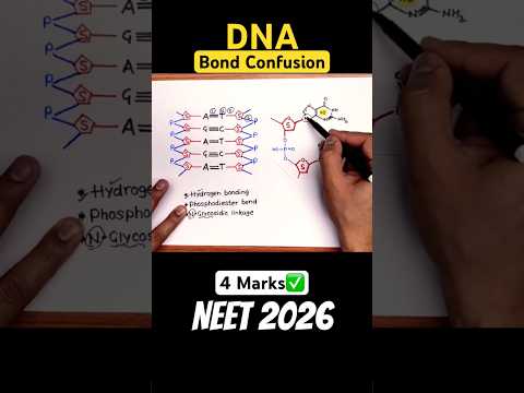Big NCERT CONFUSION?Bhulna Impossible?| Re-NEET 2026? thumbnail
