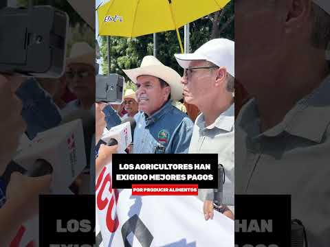 LA CNTE, MADRES BUSCADORAS, ESTUDIANTES Y OTROS COLECTIVOS PLANEAN BOICOTEAR EL MUNDIAL DE FUTBOL thumbnail