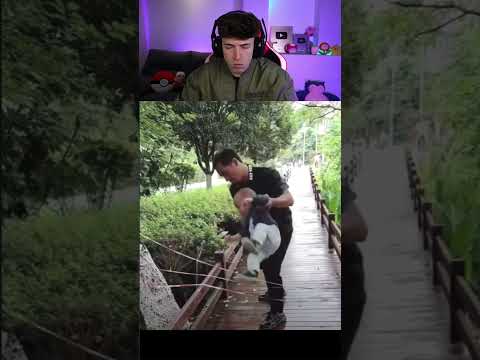 Una Leccion De Vida Para Su Hijo thumbnail