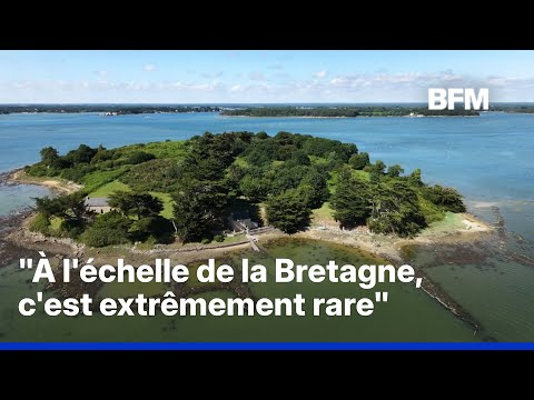 Six hectares, cinq plages, deux maisons…une île en Bretagne est à vendre pour 2,5 millions d’euros thumbnail