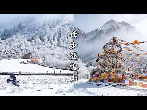 下雪天的稻城亚丁被誉为“水蓝色星球上的最后一片净土” thumbnail