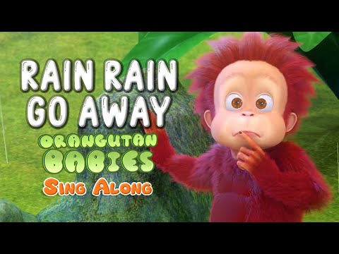 Rain Rain Go Away - Orangutan Babies | #SingAlong #NurseryRhymes #RainRainGoAway thumbnail