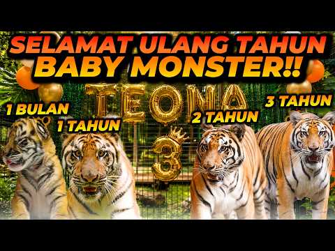 SELAMAT ULANG TAUN TEONA YA KE 3! SEKARANG BESARNYA MAU NYUSUL ESHAN! thumbnail
