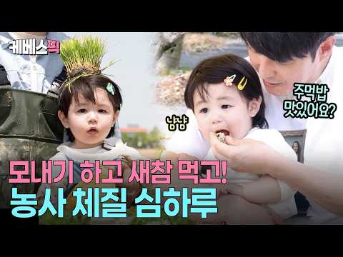 “내 밥은 내가 심는다”🌾 맨손으로 미꾸라지 잡는 용감한 하루 #슈퍼맨이돌아왔다 ㅣ KBS 260527 방송 thumbnail