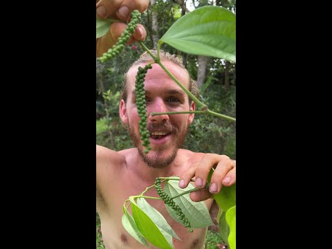 You'll Never Guess The Taste Of This Fruit thumbnail