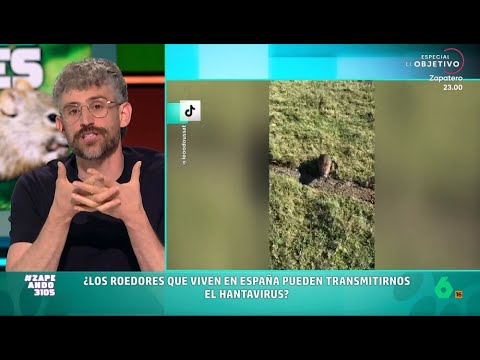 Víctor Algra aclara en Zapeando si los ratones autóctonos pueden transmitir el hantavirus thumbnail
