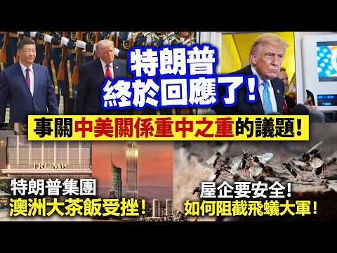 特朗普終於回應了！事關中美關係重中之重的議題！/特朗普集團澳洲大茶飯受挫！/屋企要安全！如何阻截飛蟻大軍！ thumbnail