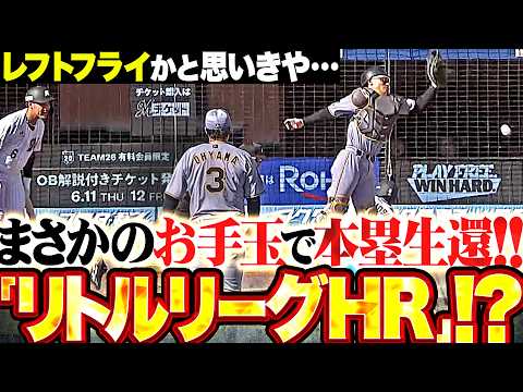 【リトルリーグHR】友杉篤輝『レフトフライかと思いきや…まさかのお手玉で一気に本塁生還!!!』 thumbnail