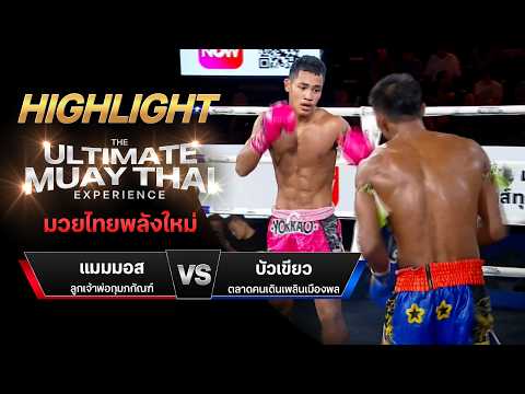 ไฮไลท์มวยไทย มวยไทยพลังใหม่ : แมมมอส ลูกเจ้าพ่อกุมภกัณฑ์ พบ บัวเขียว ตลาดคนเดินเพลินเมืองพล thumbnail