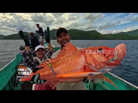 Mancing Bareng Jenny di Pulau Mules NTT | MANCING MANIA STRIKE BACK (23/05/26) P2 thumbnail