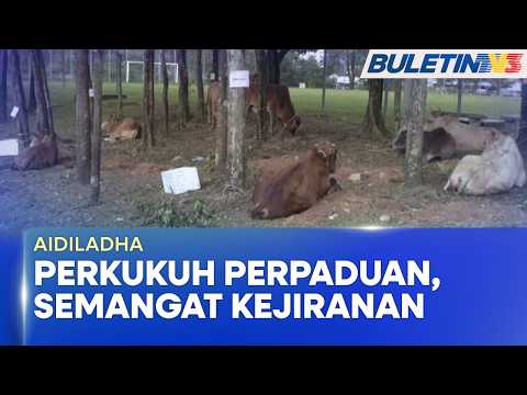 AIDILADHA | Korban Perdana Perpaduan Perkukuh Semangat Kejiranan Lembah Pantai (BU) thumbnail