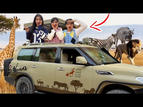 अल ऐन ज़ू में सफारी ट्रिप !! thumbnail