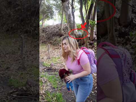 Esta es la NUEVA CASA del GATO PITUFO!! 😱🍄 thumbnail