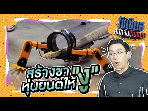 งูขาหุ่นยนต์?!! : โซเชียลสนุกจังโว้ย l VRZO thumbnail