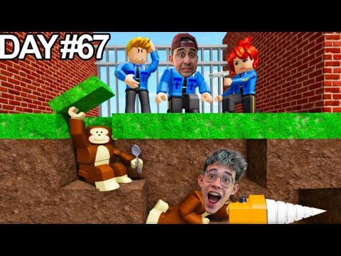 ESCAPE DO ZOOLÓGICO MACABRO DO ROBLOX  thumbnail