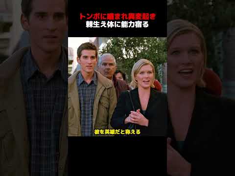 少年はハエに刺されただけで、スーパーヒーローへと変貌する！ thumbnail