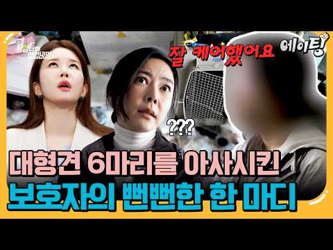 [#에이팅] 대형견 6마리를 아사시켜 놓고 절대 포기 못한다는 보호자? | #탐정들의영업비밀 110회 thumbnail