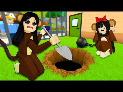¡CAVAMOS UN TÚNEL PARA ESCAPAR DEL ZOOLÓGICO! ?⛏️ Roblox thumbnail