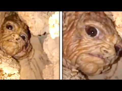 Cosas Perturbadoras Encontradas En Lo Profundo De Minas Abandonadas thumbnail