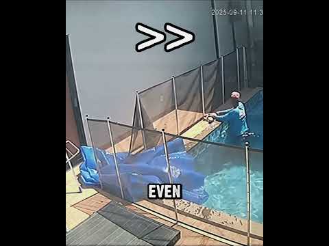 The Pool Worker Became a Hero #dog #animals #rescue thumbnail