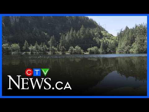 No sign of paddleboarders who went missing in ‘tragic’ B.C. incident thumbnail