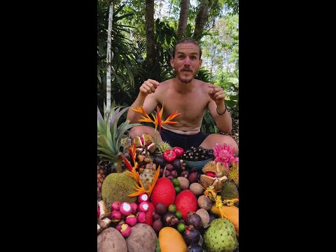 Borneo Jungle Fruit thumbnail
