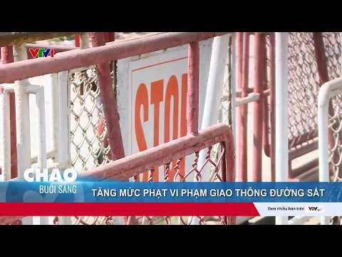 Tăng mức phạt vi phạm giao thông đường sắt: Không chỉ để răn đe mà còn hướng tới giảm tai nạn |VTV24 thumbnail