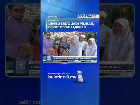 AIDILADHA | Lembu Sado Jadi Pilihan Peserta Ibadah Korban Di Banting thumbnail