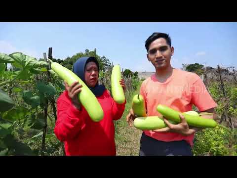 Emak Enah Panen Balonceng | ENAH BIKIN ENAK (22/05/26) P1 thumbnail