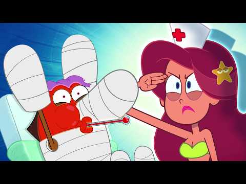 Marina salva todo mundo! | Zig e Sharko | Desenho Animado em Português thumbnail