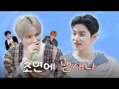 친구 후보 6. 장하오 | 휴닝카이 친구들도 첨벙첨벙 🌊 thumbnail