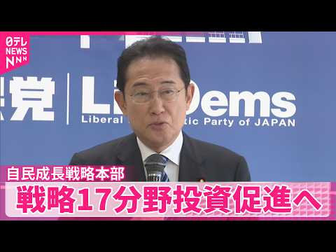 【自民･日本成長戦略本部】AIやエネルギー安全保障など戦略17分野の投資促進へ  提言案大筋了承 thumbnail