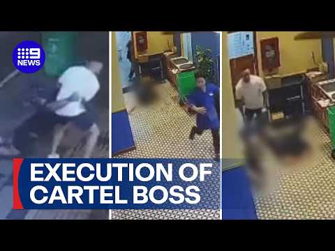 Dramatic vision of execution of Coconut Cartel boss in Vietnam | 9 News Australia thumbnail